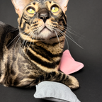 Malý bavlněný polštářek s kozlíkem lékařským