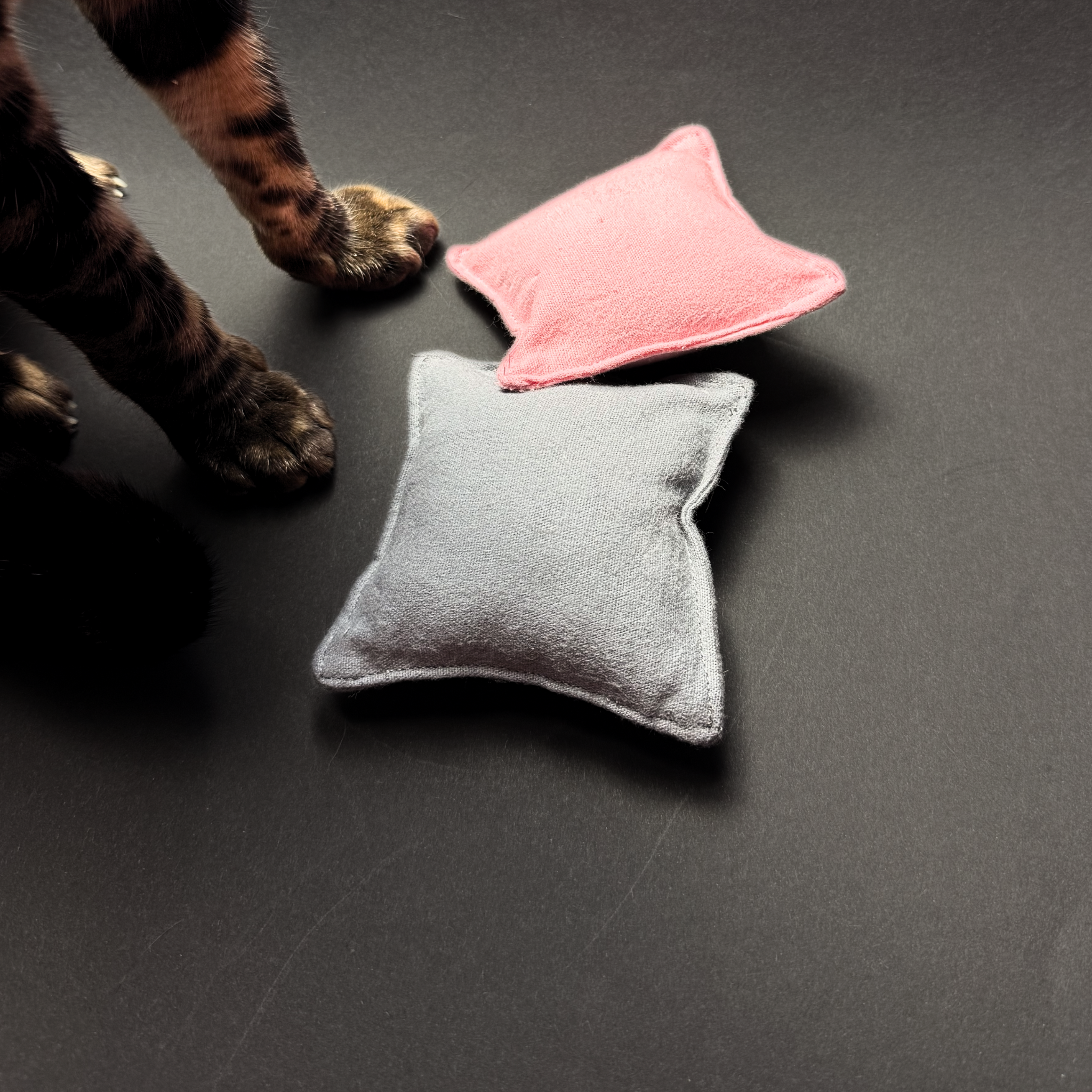 Malý bavlněný polštářek se šantou kočičí