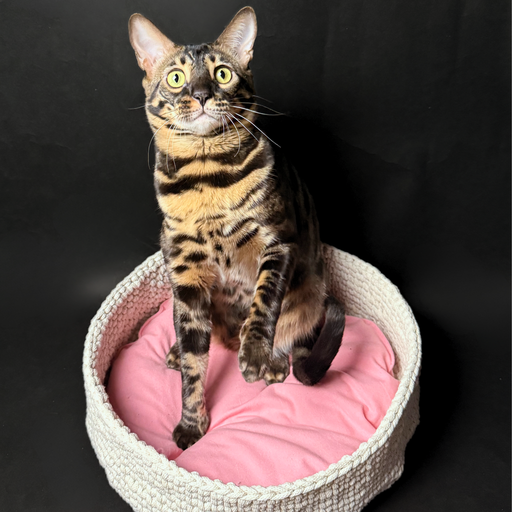 Luxusní na míru ručně háčkovaný pelíšek s polštářkem