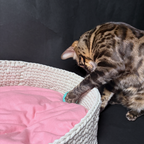 Luxusní na míru ručně háčkovaný pelíšek s polštářkem