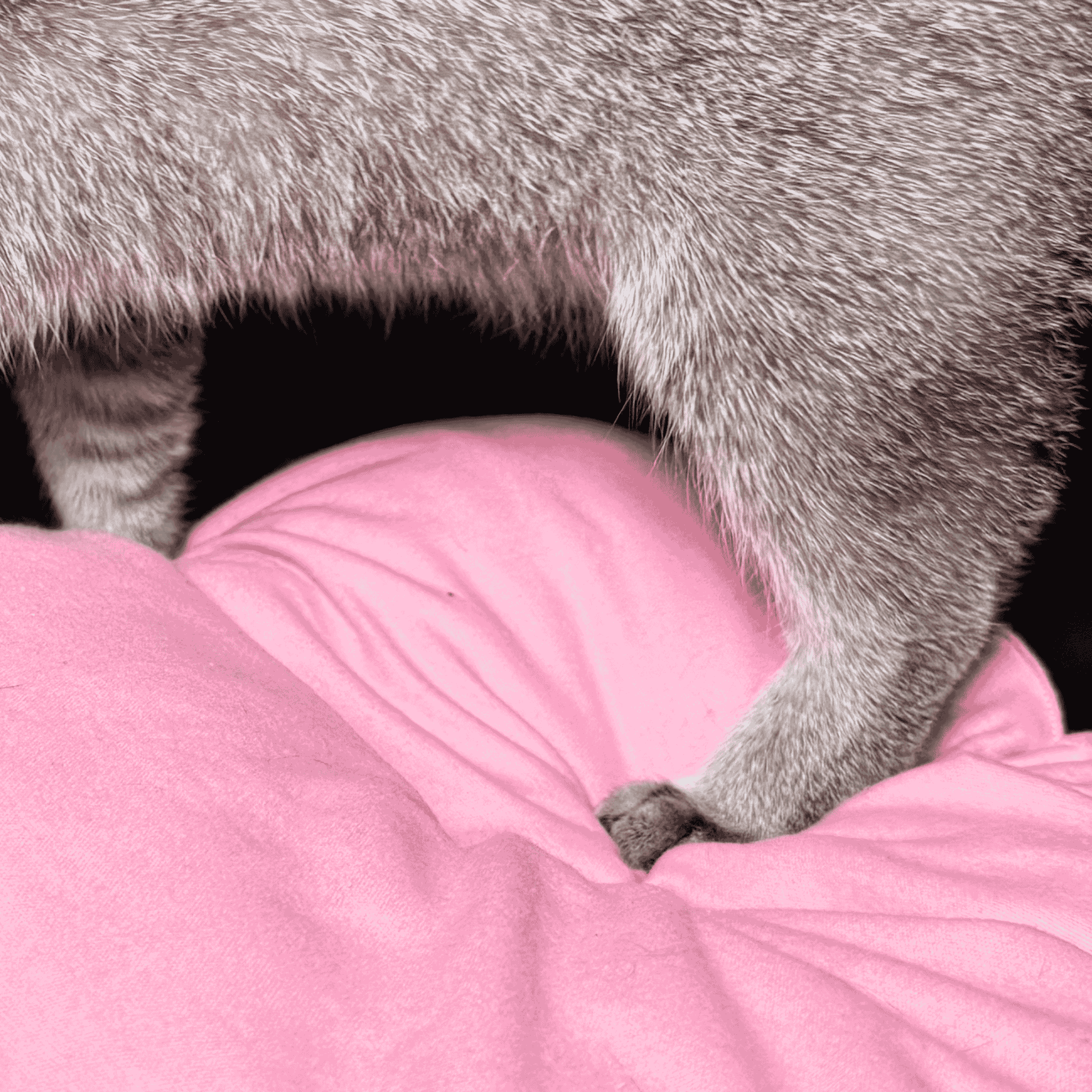 Růžový ručně šitý bavlněný polštář Ø 40 cm