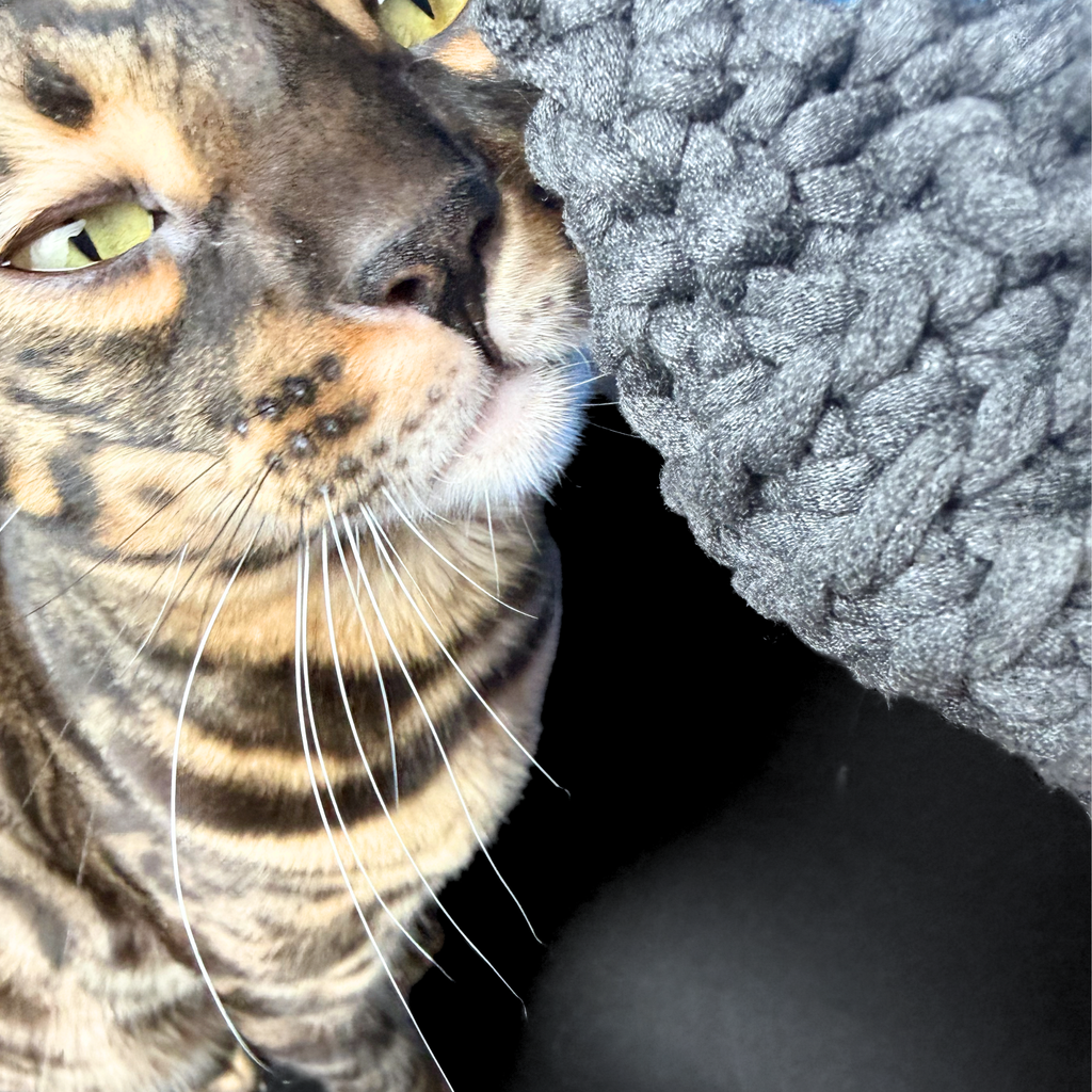 Bavlněná myš pro kočky s mixem bylin