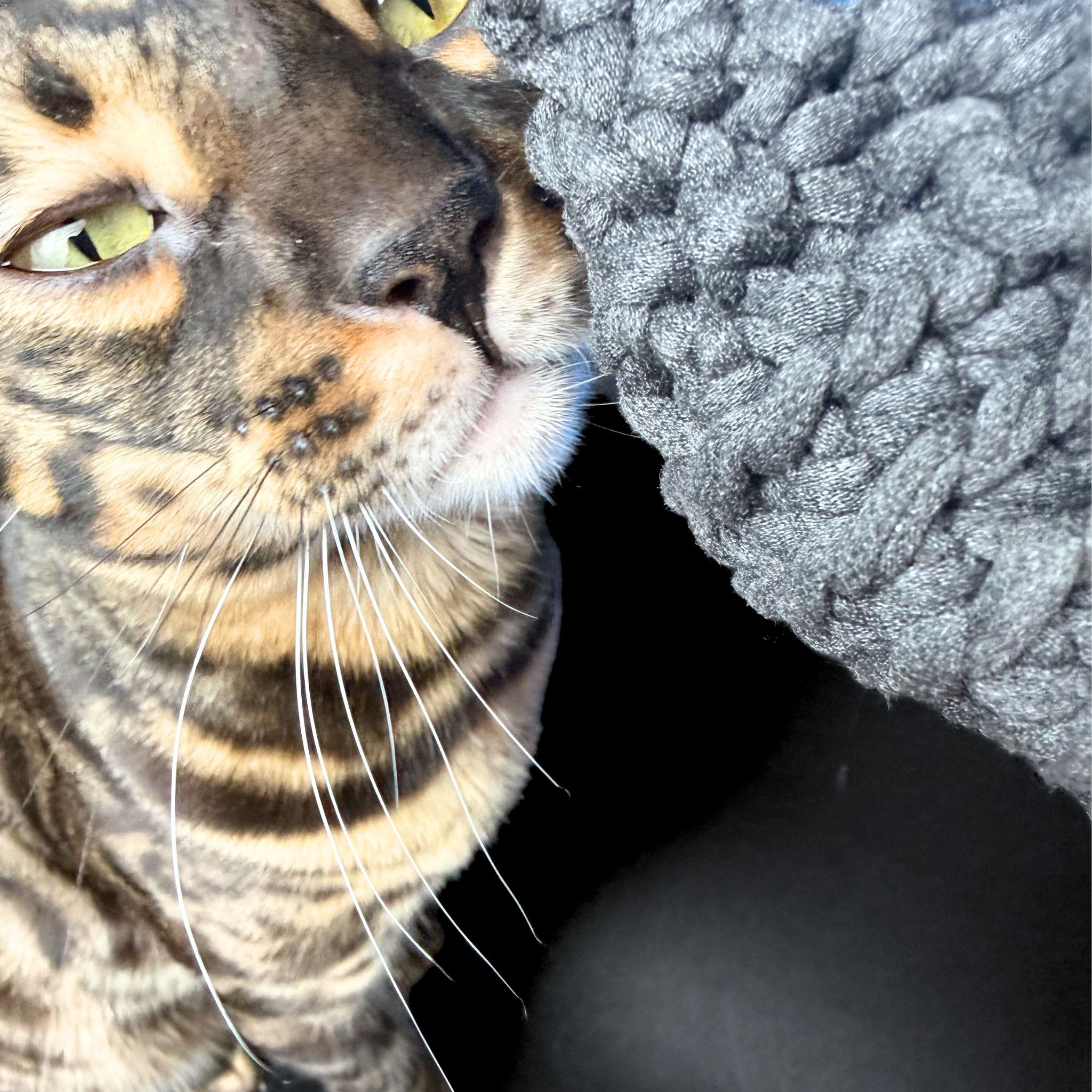 Bavlněná myš pro kočky s mixem bylin