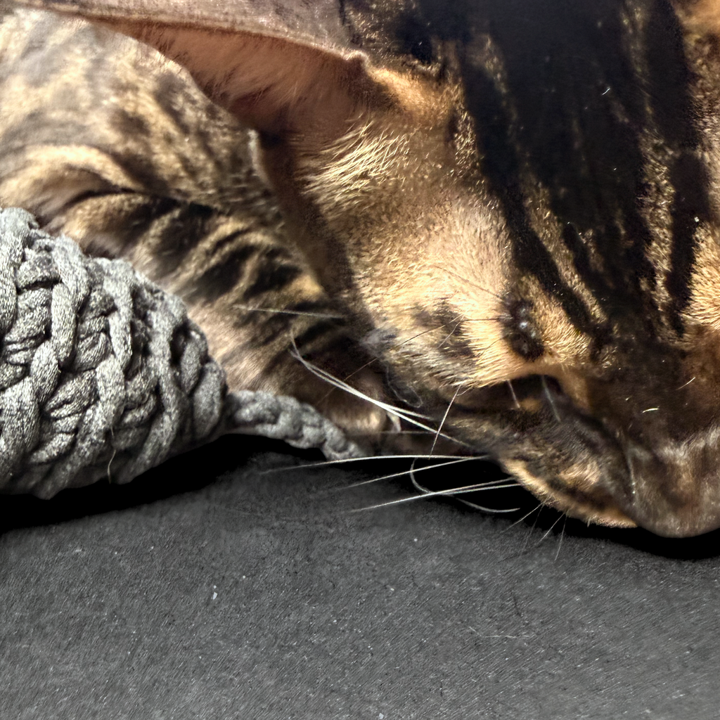 Bavlněná myš pro kočky s mixem bylin