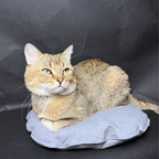 Šedý ručně šitý bavlněný polštář Ø 40 cm